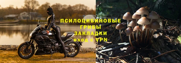 кокс Нефтекумск