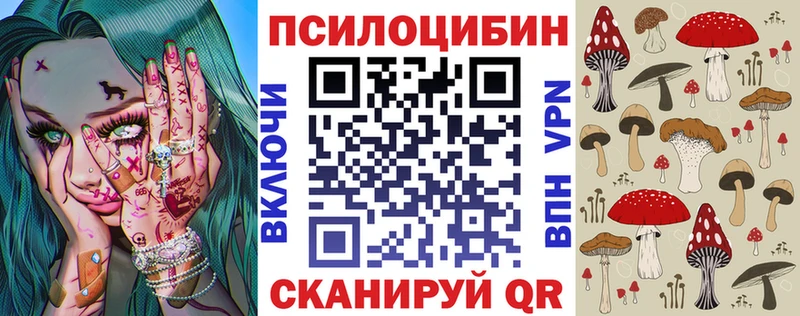 как найти   Губкинский  Галлюциногенные грибы Psilocybine cubensis 