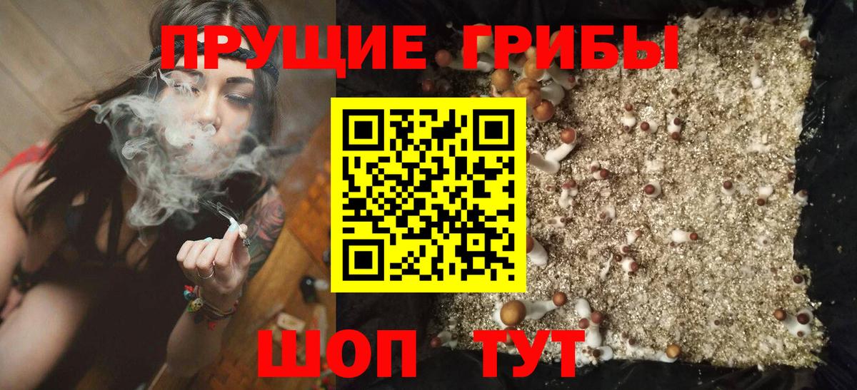 Губкинский  Псилоцибиновые грибы прущие грибы  Вход с VPN  Галлюциногенные грибы Magic Shrooms 
