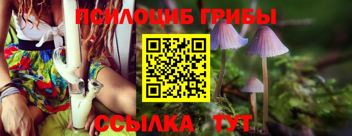 Галлюциногенные грибы Magic Shrooms Губкинский