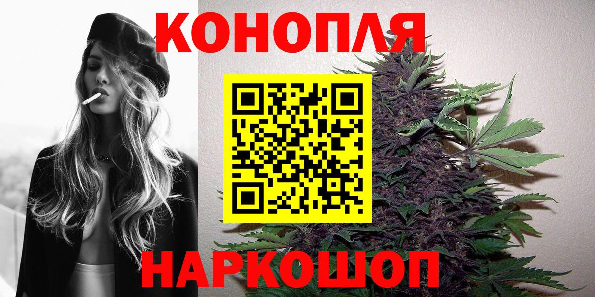 МАРИХУАНА SATIVA & INDICA  Каннабис индика  Марихуана планчик  Губкинский  Бошки марихуана OG Kush 